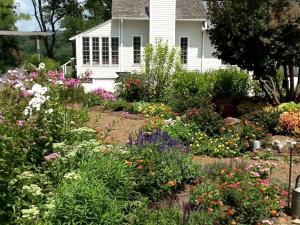 Secluded Country Cabin Rental with Beautiful Garden Space near Fayetteville, Arkansas