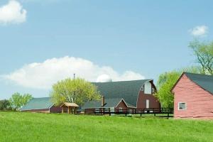 1856 Manor Vacation Rental on Huge Horse and Cattle Farm near Charlottesville, Virginia