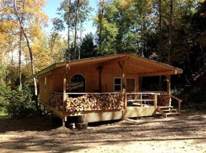 Rustic Creekside Cabin on 100-Acre Forest near Letchworth Park, New York