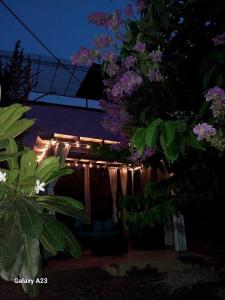 Nani s House - Warmth & Comfort