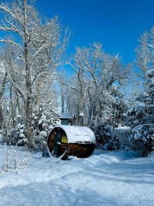 Charming Log Cabin Rental on Eco-Farm near Taos Ski Valley