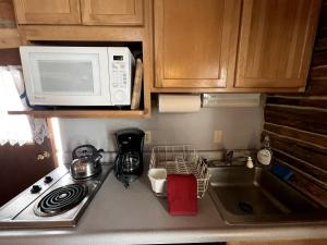 Charming Log Cabin with Mountain Views near Trails in Pony, Montana
