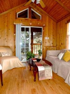 Peaceful Pet-Friendly Cabin Rental in San Antonio Countryside, Texas