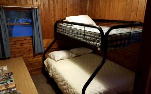 Remote Cabin Vacation Rental on Beautiful Somo Lake, Wisconsin