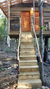 Secluded Forest Cabin with Clear Roof for Stargazing near Watts Bar Lake – Grandview, TN