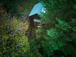 Escape to the Czech Republic in this Wonderful Tree House in Nature