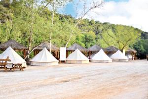 Relaxation and Fun Combined Glamping Tents M & In-Water Picnic Table L in Kingsbury, TX