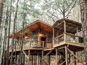 Secluded Treehouse Rental Ideal for Glamping in Alabama