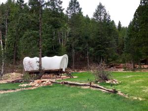 Traditional Conestoga Wagon Perfect for a Family Getaway near Zion National Park, Utah