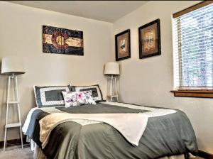 Pet Friendly Cabin for Fun Family Glamping Trips to Fairplay, Colorado