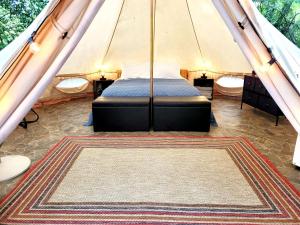 Fern Dell - Air Conditioned in Hot Springs National Park, Arkansas