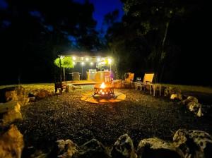 Fern Dell - Air Conditioned in Hot Springs National Park, Arkansas