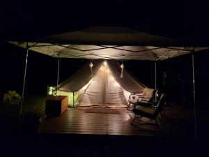 Fern Dell - Air Conditioned in Hot Springs National Park, Arkansas