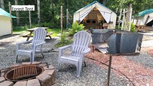 Olympic National Forest Glamping Village for the Ultimate Northwest Outdoor Adventure