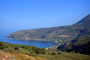 Olea Lakonia Greece