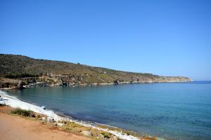 Olea Lakonia Greece