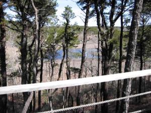 Beautifully Secluded Vacation Rental Close to the Beach in Truro, Massachusetts