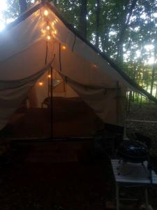 Cozy Treehouse Tent with Forest Trails near Waterfalls in Cumberland Plateau, TN