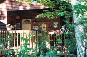 Cabin Surrounded by Sublime Nature near Lake Huron, Michigan