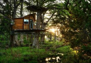 Romantic Getaways in Fully-Equipped Tree House Rental in Spicewood, Texas