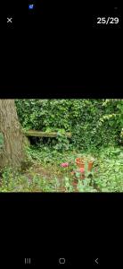 Parkhouse farm caravan