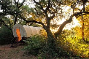 Unique Wagon Accommodation at Bed and Breakfast near Austin, Texas