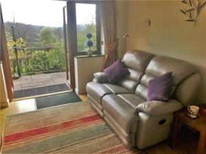 1 Bed in Tregaron 43288