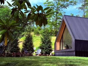 Blissful A-Frame Retreat near Pisgah National Forest in North Carolina