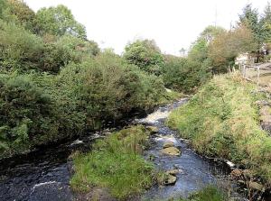 Charming Cabin Rental for Two Guests by the River Shannon, Ireland