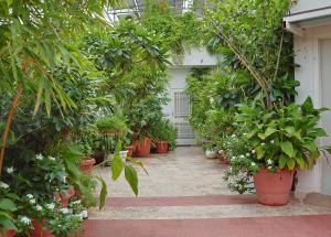 Shanti Niwas