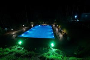 wayanadjunglevillas