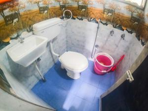 Kavitha nest