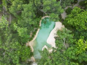 Holistika 9BR Jungle Estate with Private Rooftop & Plunge Pools