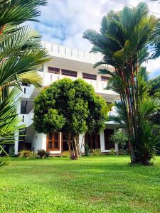 Niyanca Guest