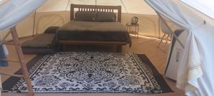 5m Belle Tent for 4 people