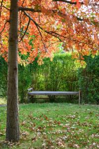 The Retreat - Reconnect with nature in style