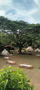 5 meter belle tent for 5 people