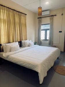 Backyard Bed & Kitchen