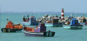 Coastal Escape in Struisbaai - Cape Agulhas