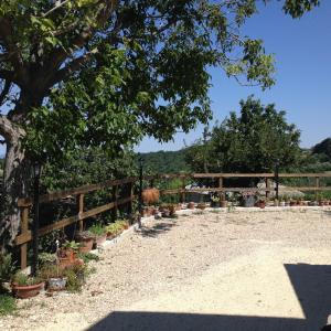 Masseria Spadone img45