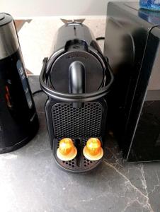 Ambre - En plein coeur de la ville Dijon