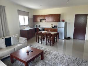 Central Apartment