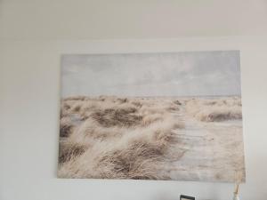 Cozy rooms near the New York cafe