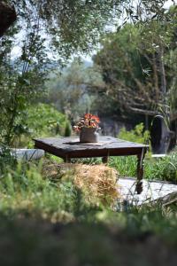 The SkyRoom - AUT vita sotto gli alberi