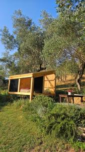 The SkyRoom - AUT vita sotto gli alberi