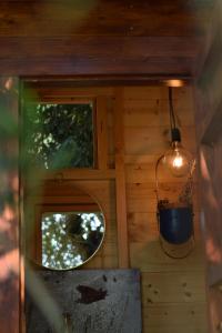 The SkyRoom - AUT vita sotto gli alberi