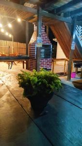 Casa de Praia Dunnas - Ajuruteua - Pa