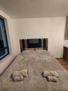 Apartment B34, complex Sokolitsite