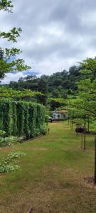 Aristaa Morni Hills: Pristine Stay in the Wild