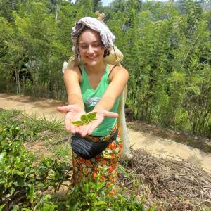 Ella Hillcrest Heaven-Free Pickup from Ella